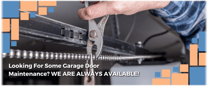 Garage Door Maintenance Cedar Park